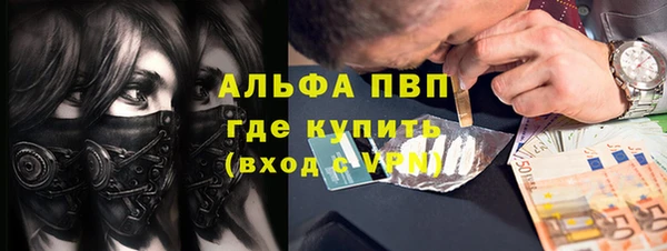 твердый Алзамай