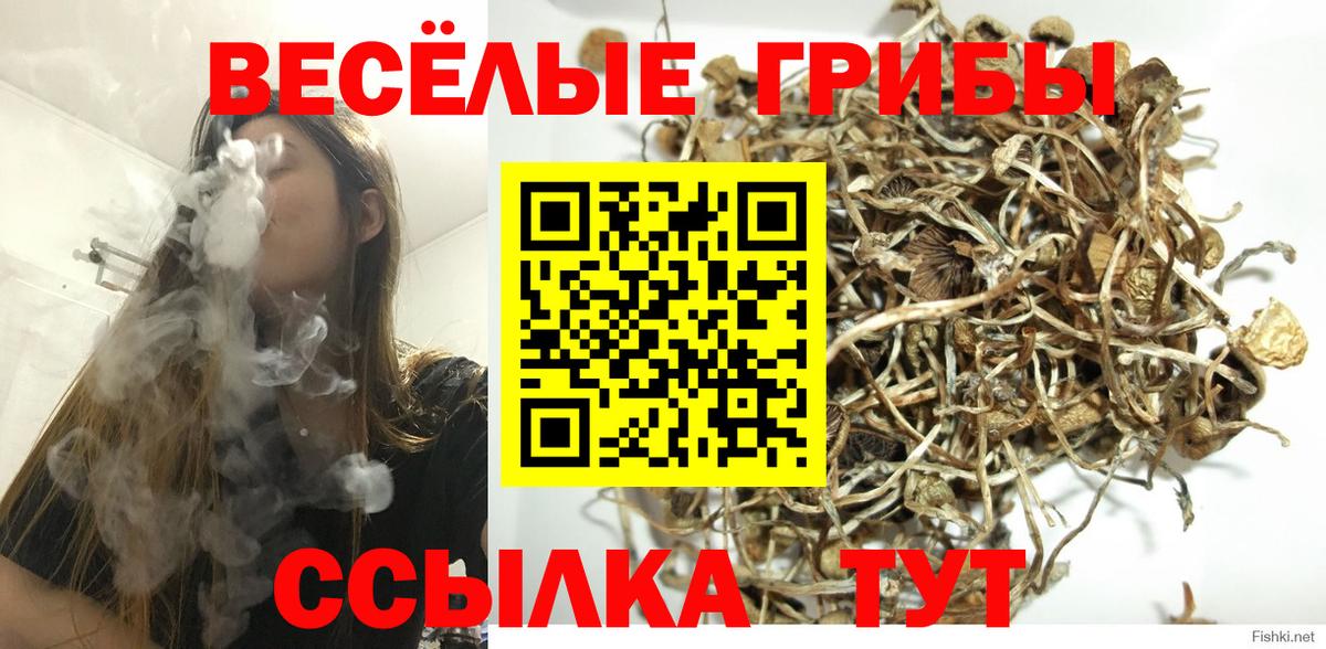 Кимовск  Галлюциногенные грибы мицелий  даркнет сайт  Вход с VPN 