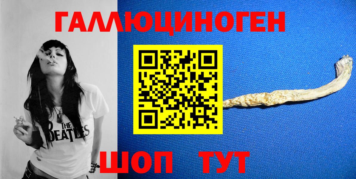 Псилоцибиновые грибы Cubensis Кимовск